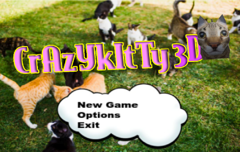 Crazy Kitty 3D gameplay screenshot showing a cat mid-leap in a chaotic environment