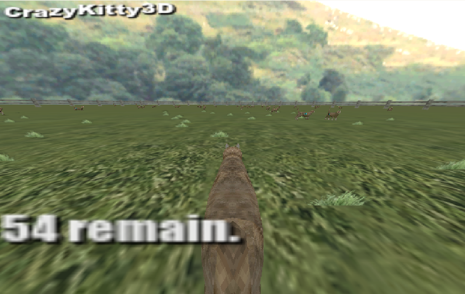 Visual guide illustrating Crazy Kitty 3D controls or a key gameplay mechanic